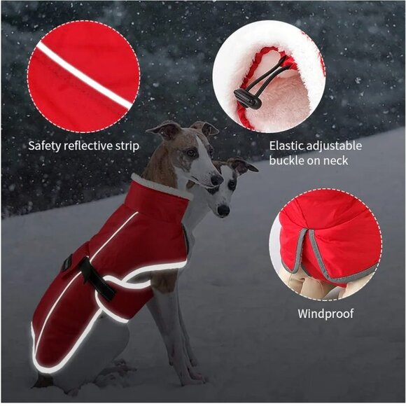 Dog vest lined waterproof windproof coat - Picture 5 of 6